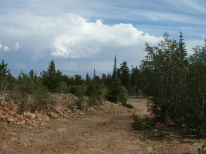 The jeep road at the summit
