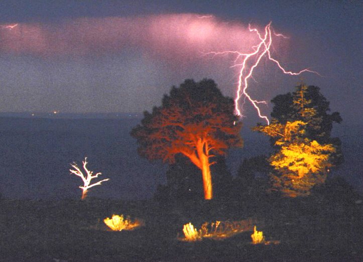 Lightning Tree North Rim GCNP