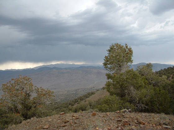 White Mountians